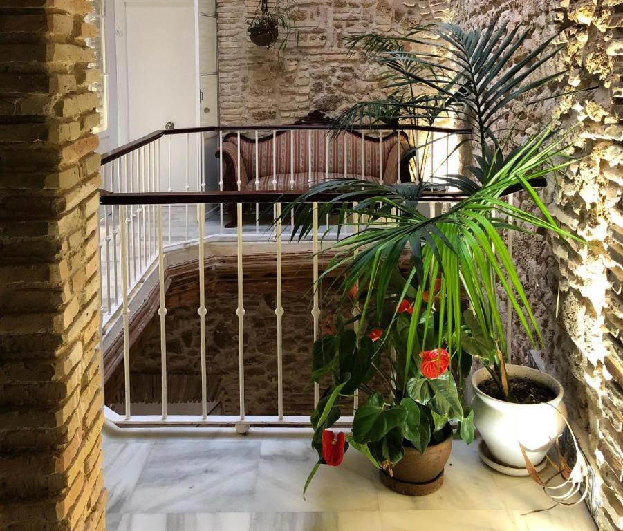 Apartamentos Rosario Centro Cádiz Kültér fotó